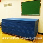 STARCO RUMAT230 柔道墊, 符合IJF標準, 技擊運動地墊